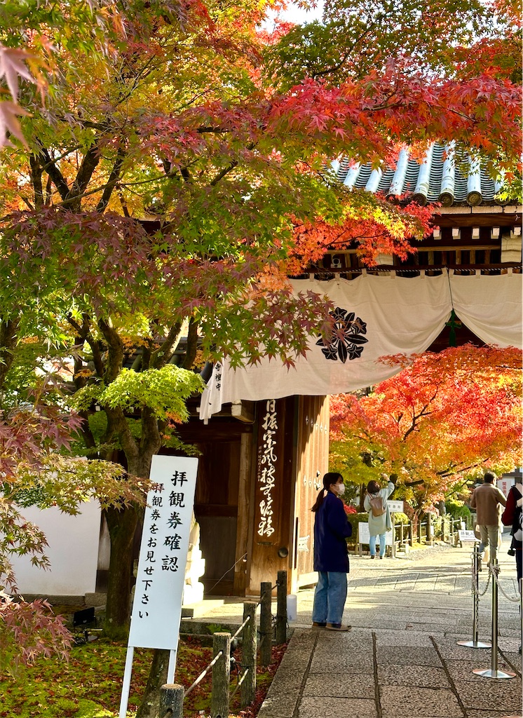 f:id:Yukonosuke:20231024191947j:image