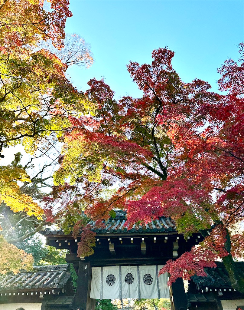 f:id:Yukonosuke:20231024191953j:image