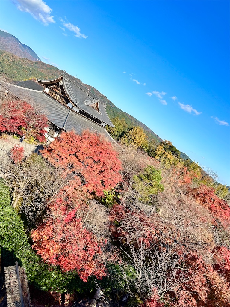 f:id:Yukonosuke:20231028201026j:image