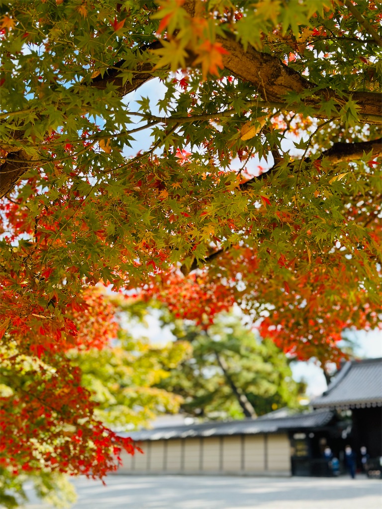 f:id:Yukonosuke:20231028211521j:image