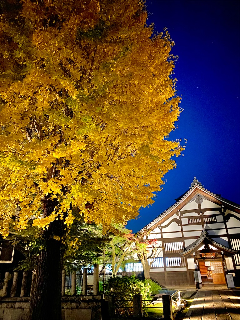 f:id:Yukonosuke:20231101140601j:image