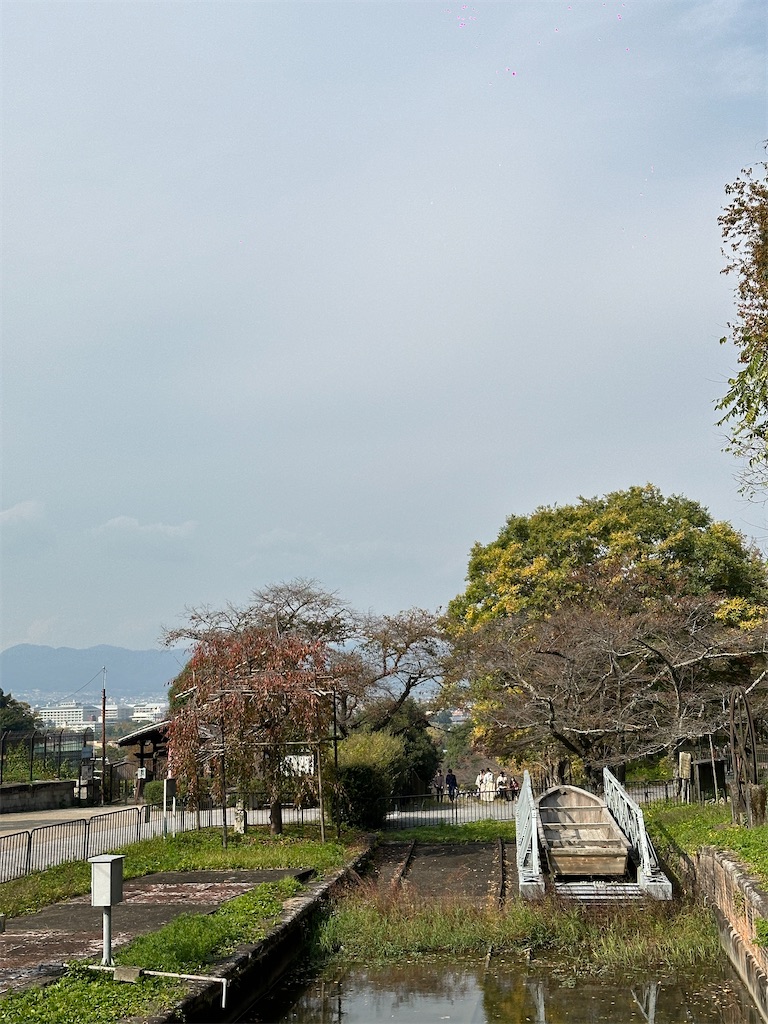 f:id:Yukonosuke:20231105135850j:image
