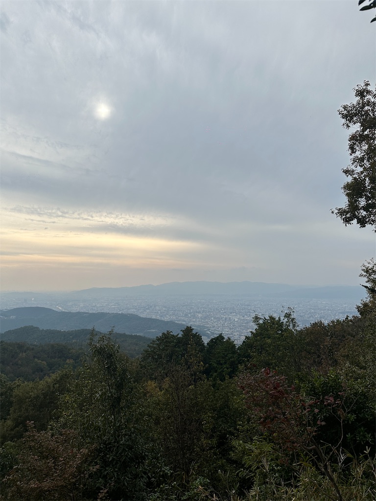 f:id:Yukonosuke:20231105151209j:image