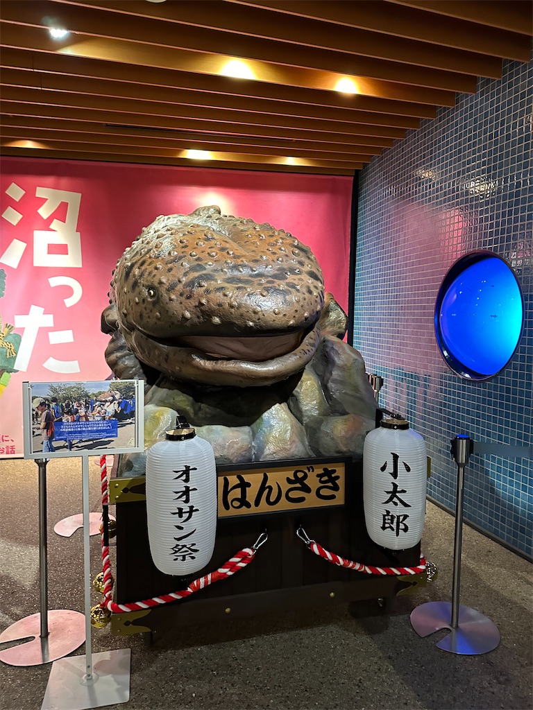 京都水族館🐬】年間パスポート作っちゃった👍デートにオススメ❤️幻想