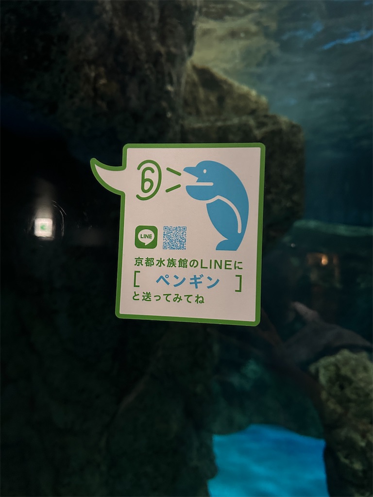 京都水族館🐬】年間パスポート作っちゃった👍デートにオススメ❤️幻想