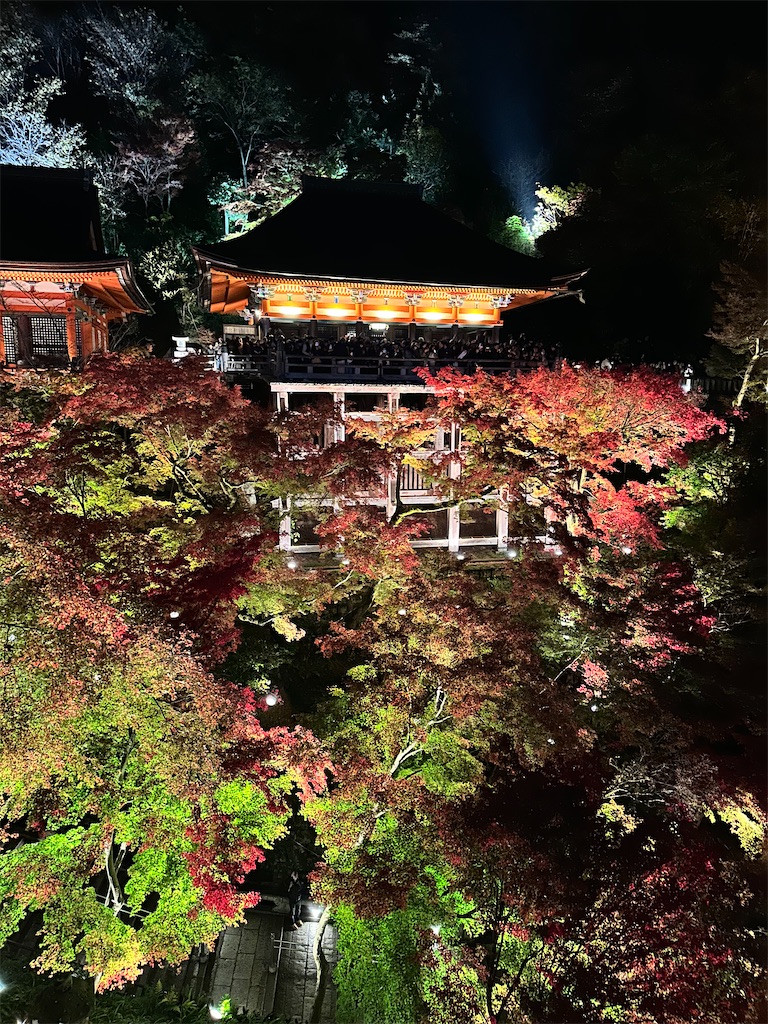 f:id:Yukonosuke:20231126201329j:image f:id:Yukonosuke:20231126201329j:image