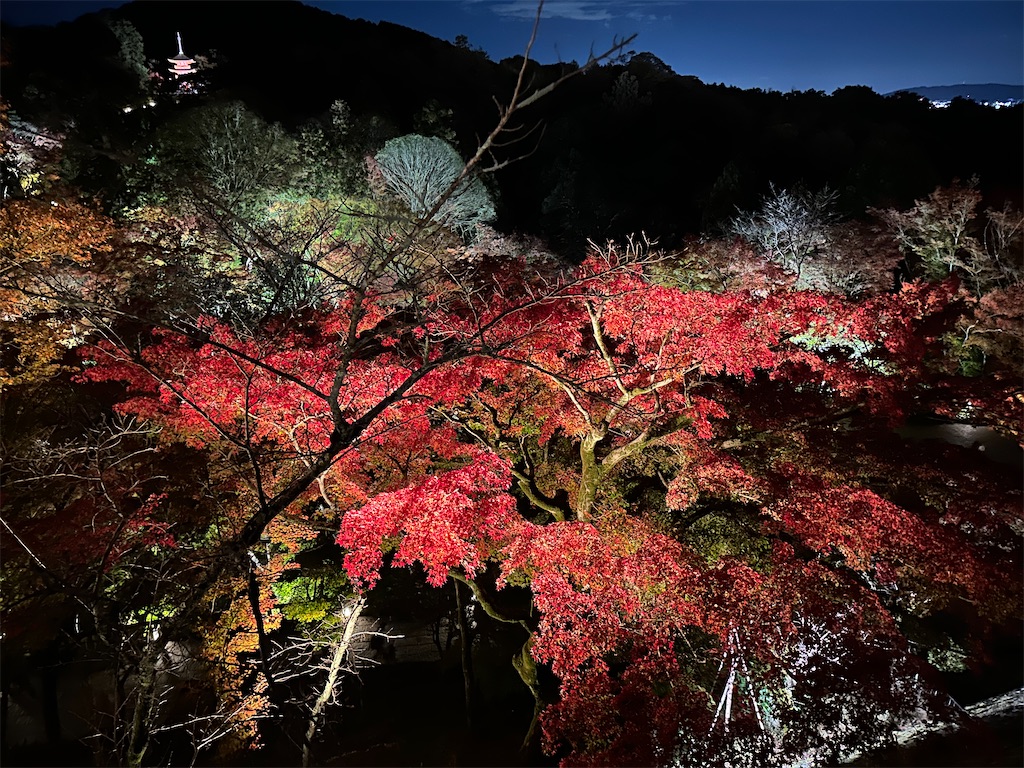 f:id:Yukonosuke:20231126201401j:image f:id:Yukonosuke:20231126201401j:image