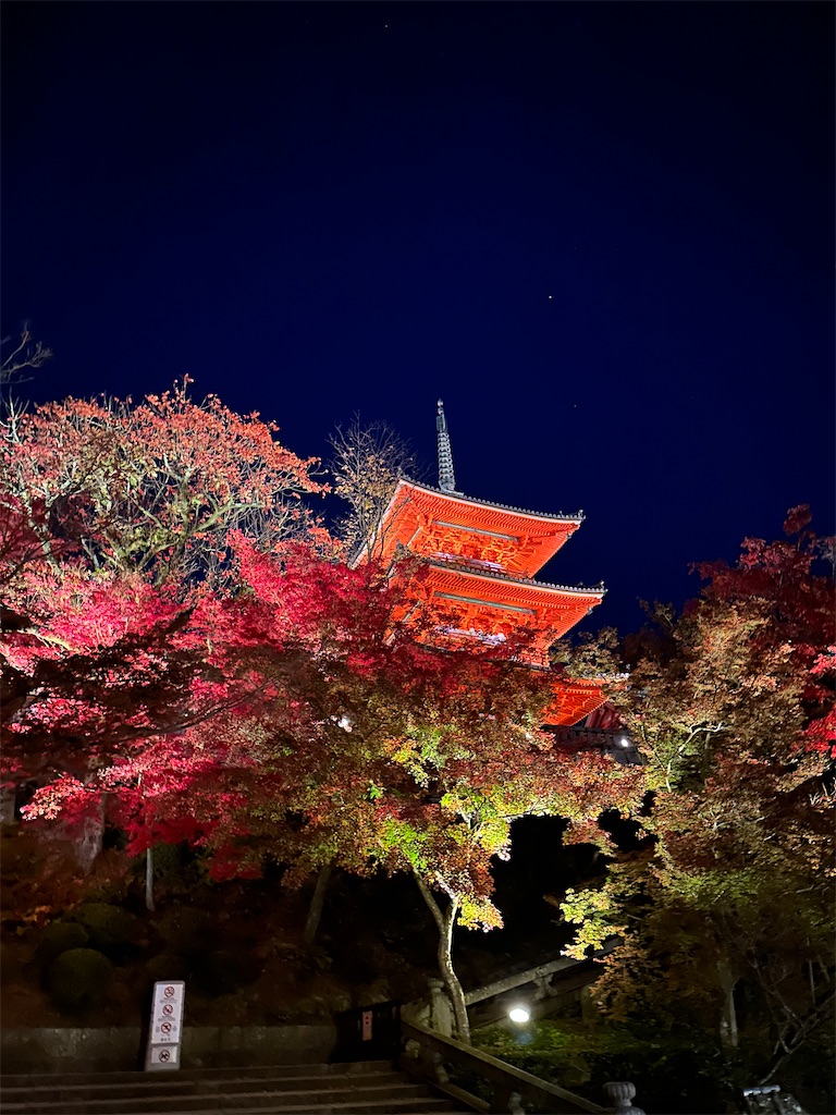 f:id:Yukonosuke:20231126201404j:image f:id:Yukonosuke:20231126201404j:image