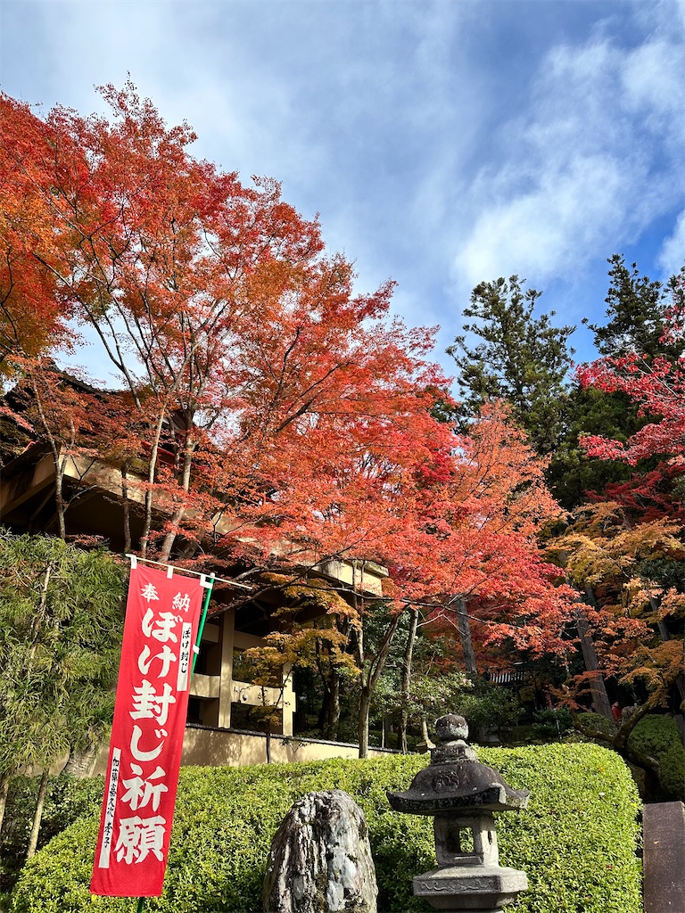 f:id:Yukonosuke:20231129203930j:image