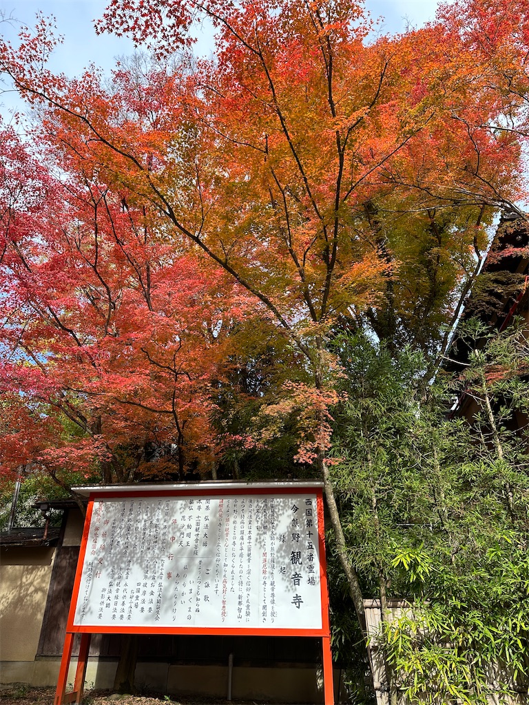 f:id:Yukonosuke:20231129203937j:image