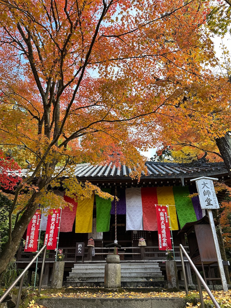 f:id:Yukonosuke:20231129211056j:image