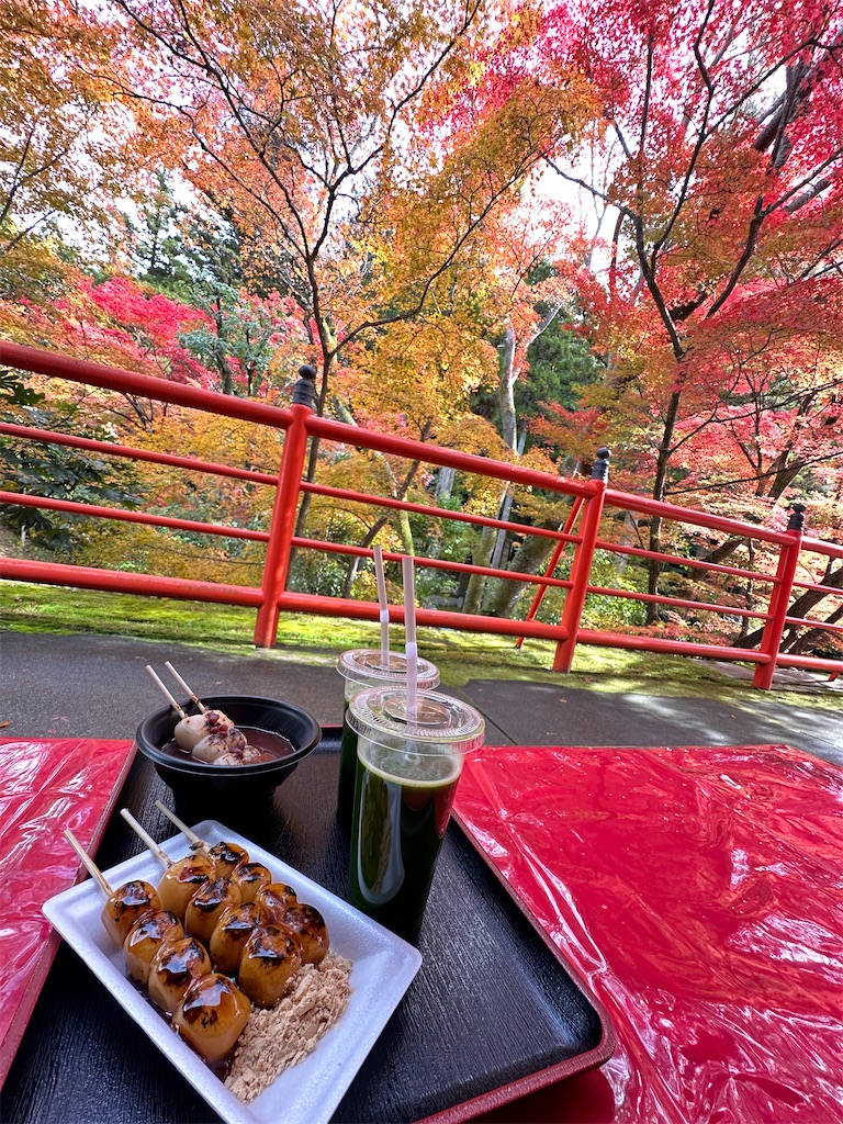 f:id:Yukonosuke:20231129212623j:image