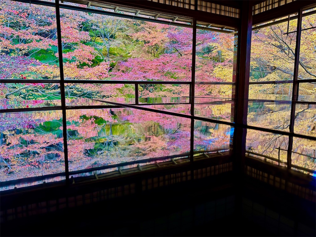 f:id:Yukonosuke:20231206181755j:image