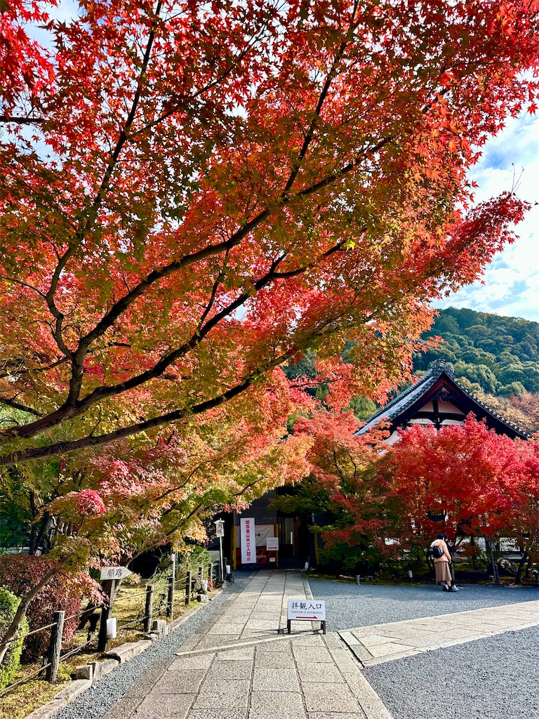 f:id:Yukonosuke:20231210215436j:image