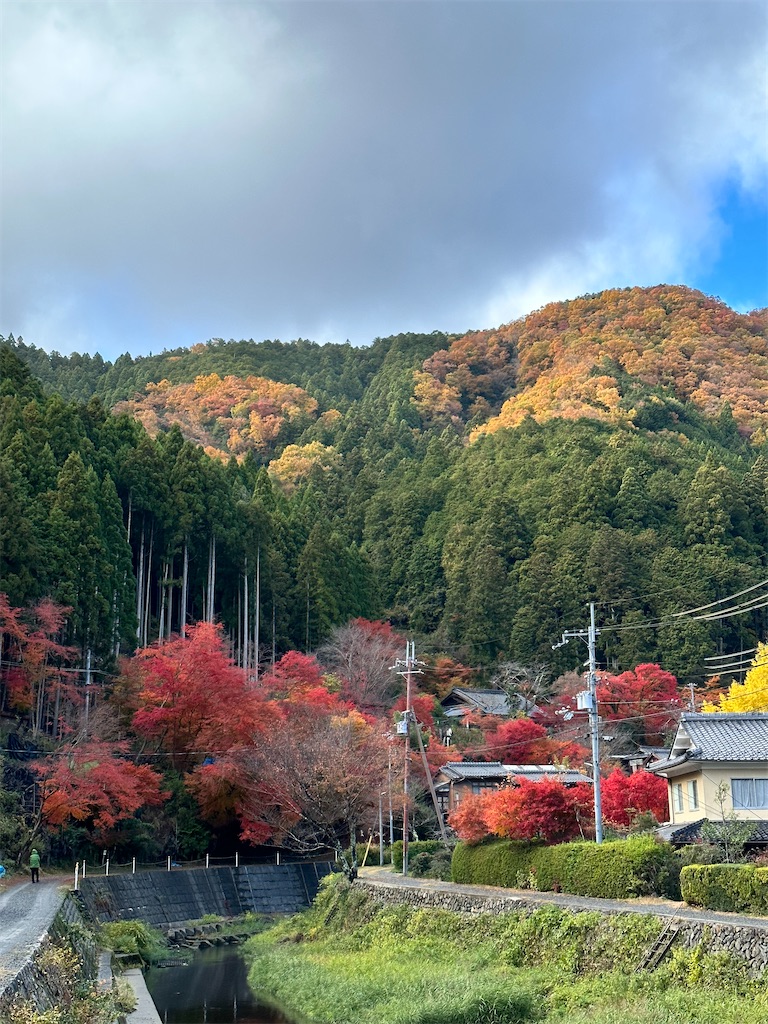 f:id:Yukonosuke:20231212001429j:image