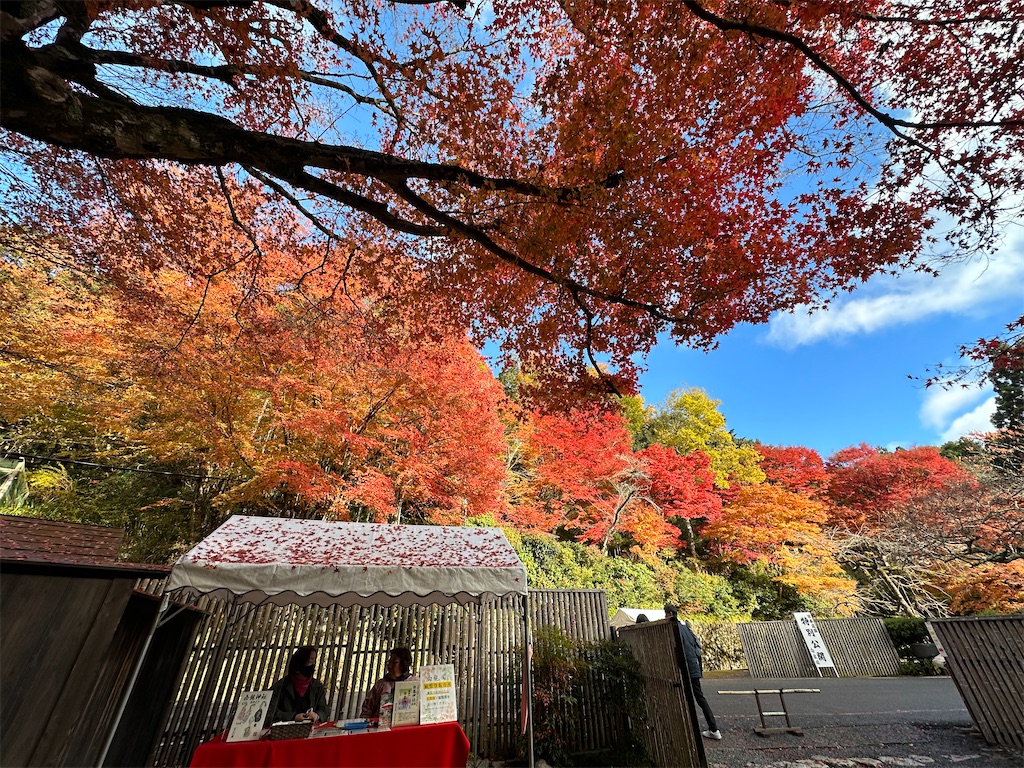 f:id:Yukonosuke:20231212135631j:image