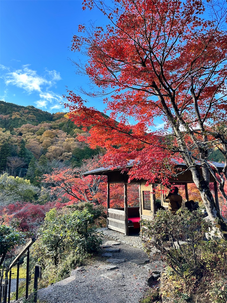 f:id:Yukonosuke:20231212141815j:image