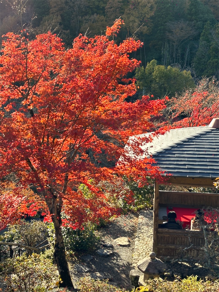 f:id:Yukonosuke:20231212141826j:image