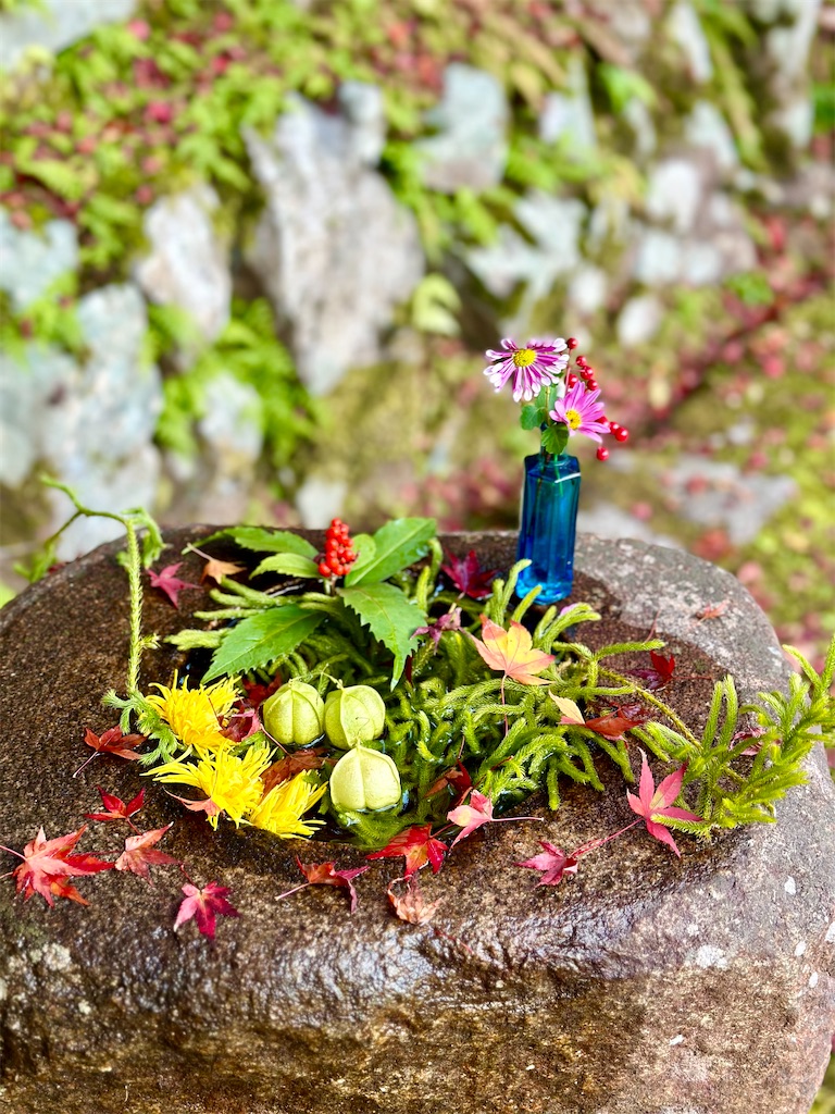 f:id:Yukonosuke:20231213163527j:image
