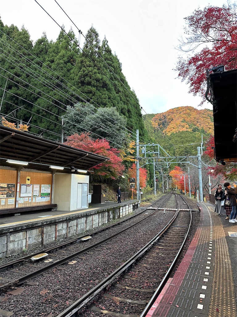 f:id:Yukonosuke:20231213165535j:image