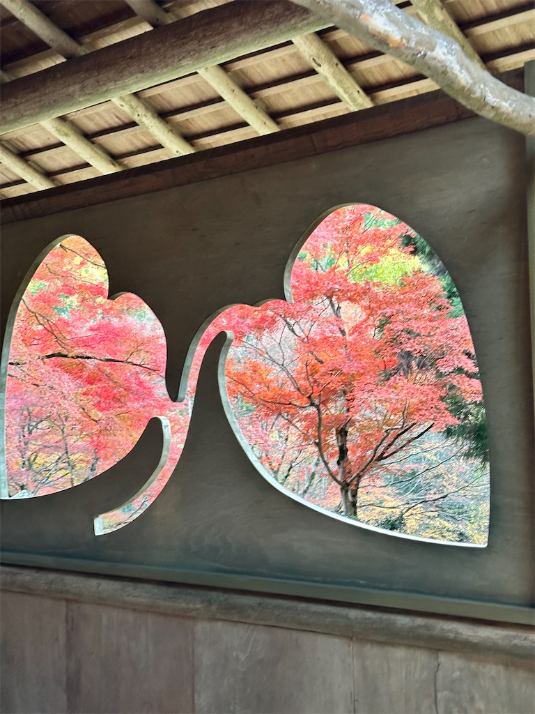 f:id:Yukonosuke:20231213170710j:image
