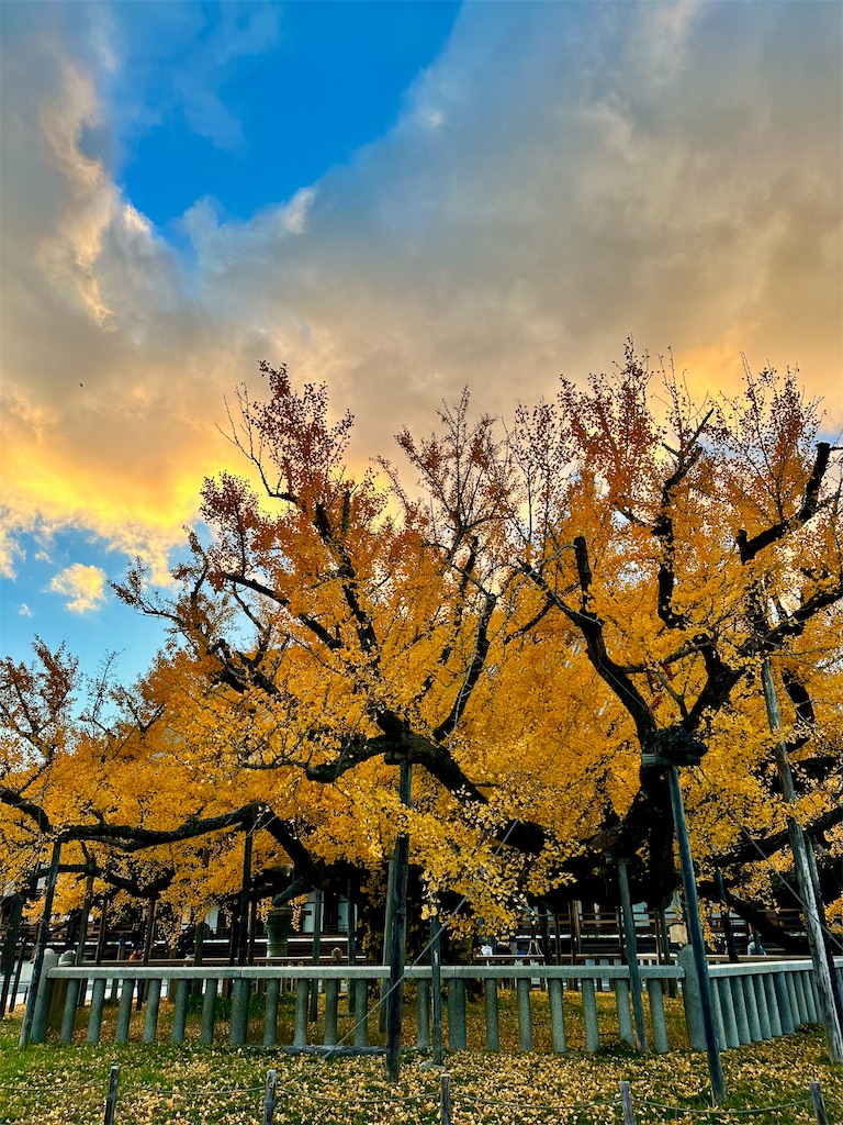 f:id:Yukonosuke:20231217022309j:image
