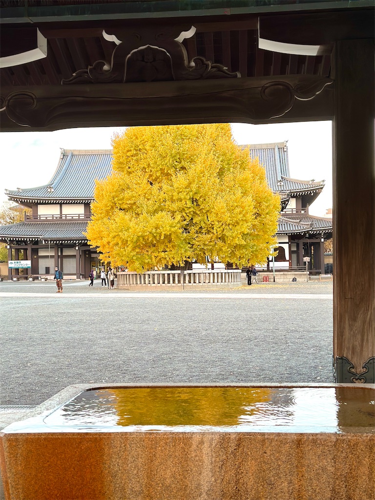 f:id:Yukonosuke:20231217022312j:image