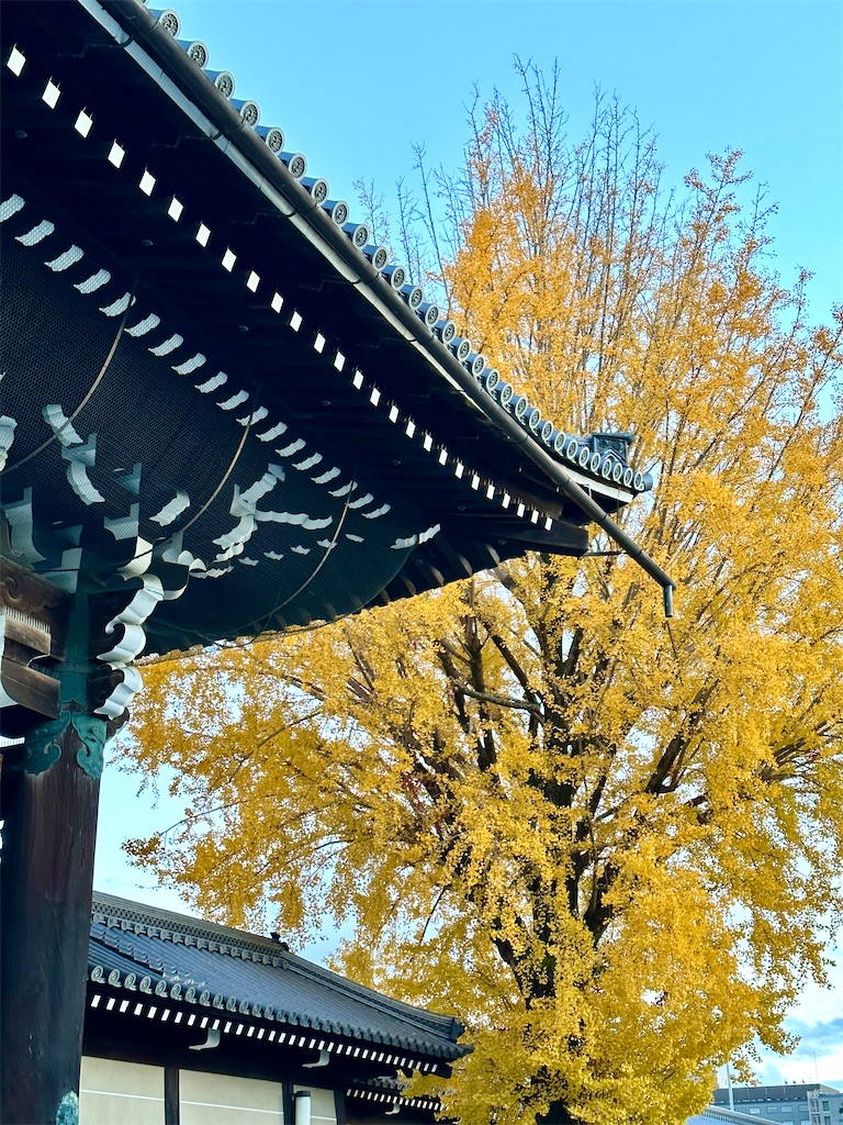 f:id:Yukonosuke:20231217022315j:image