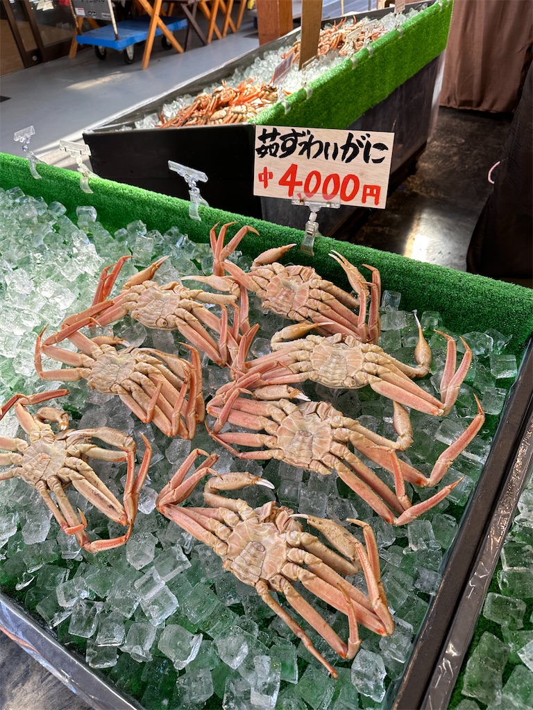 f:id:Yukonosuke:20240123233220j:image
