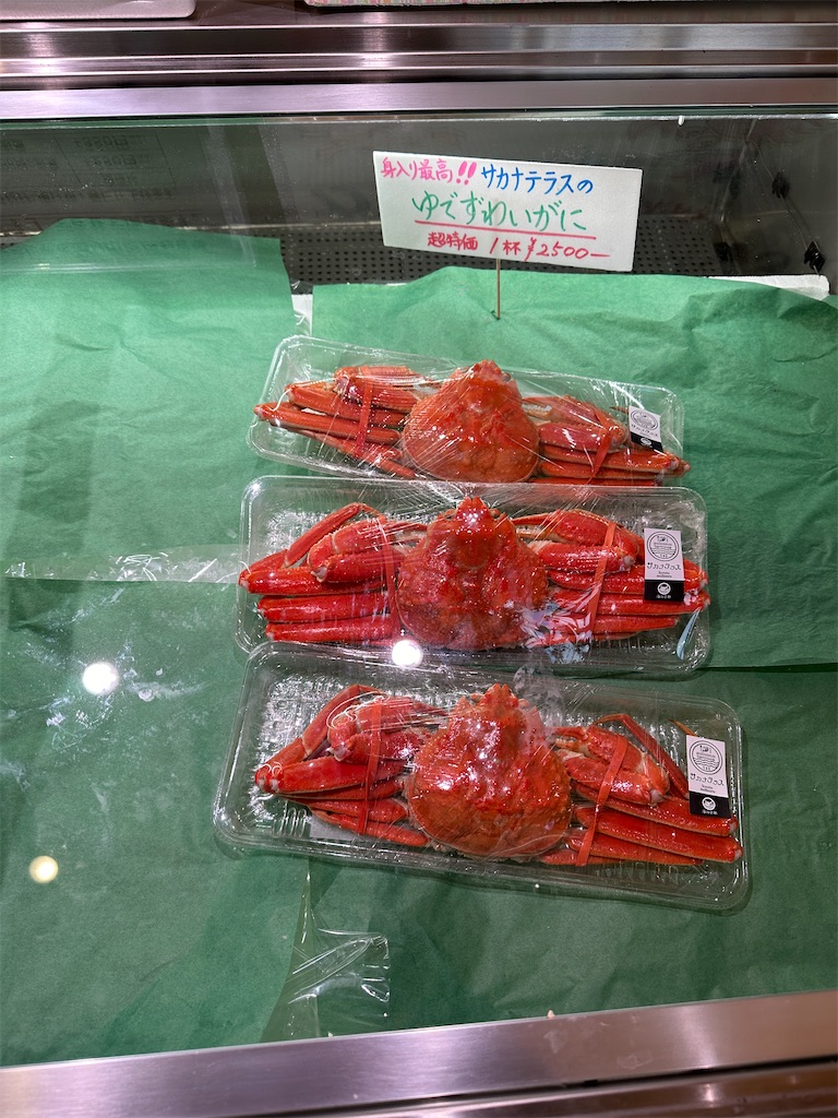 f:id:Yukonosuke:20240124004636j:image