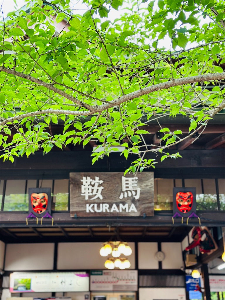 f:id:Yukonosuke:20240516170217j:image