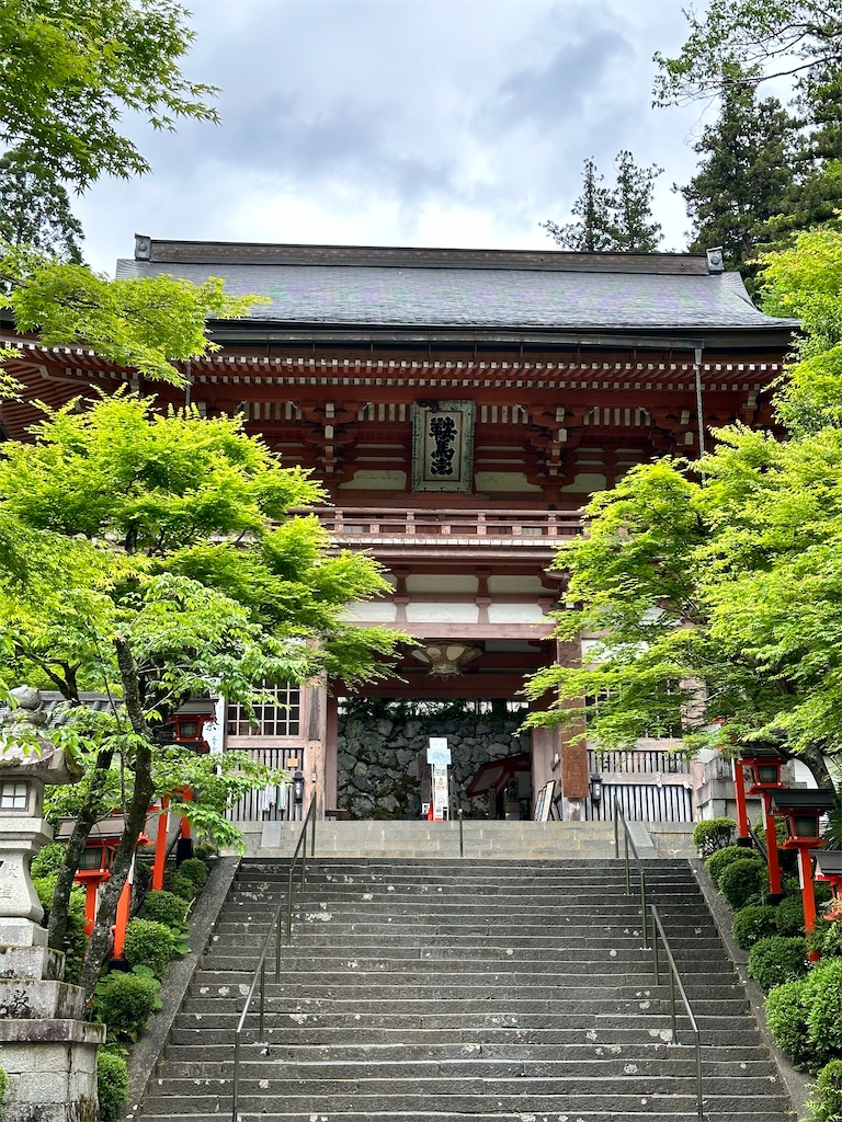 f:id:Yukonosuke:20240517145904j:image