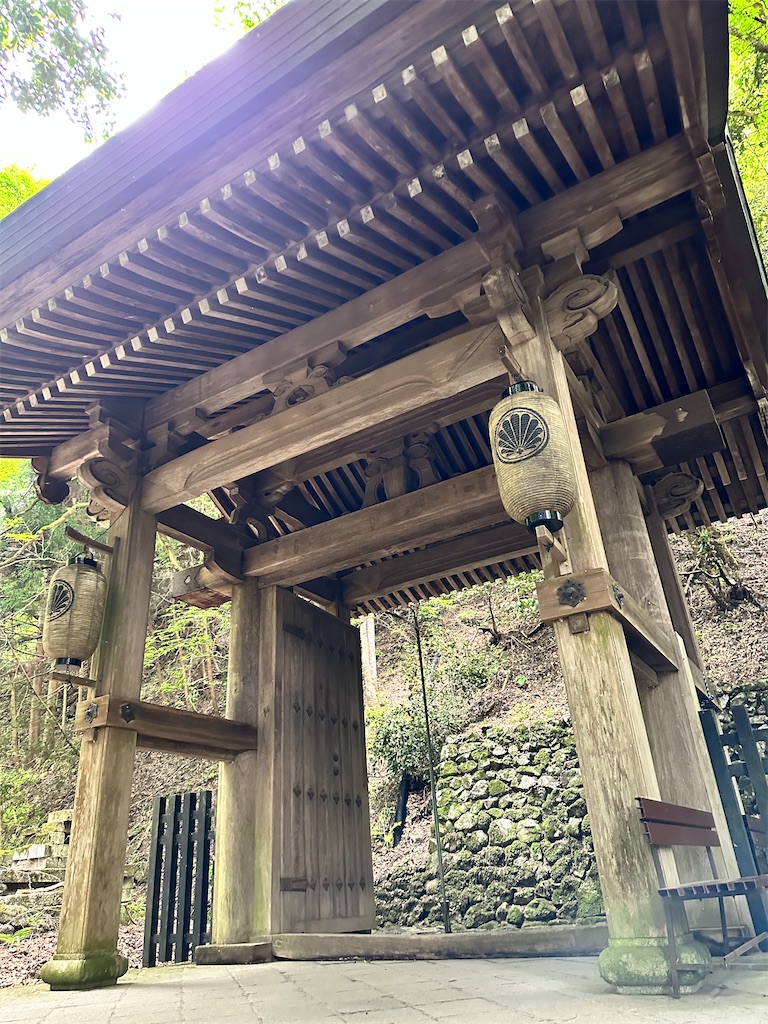f:id:Yukonosuke:20240517164748j:image