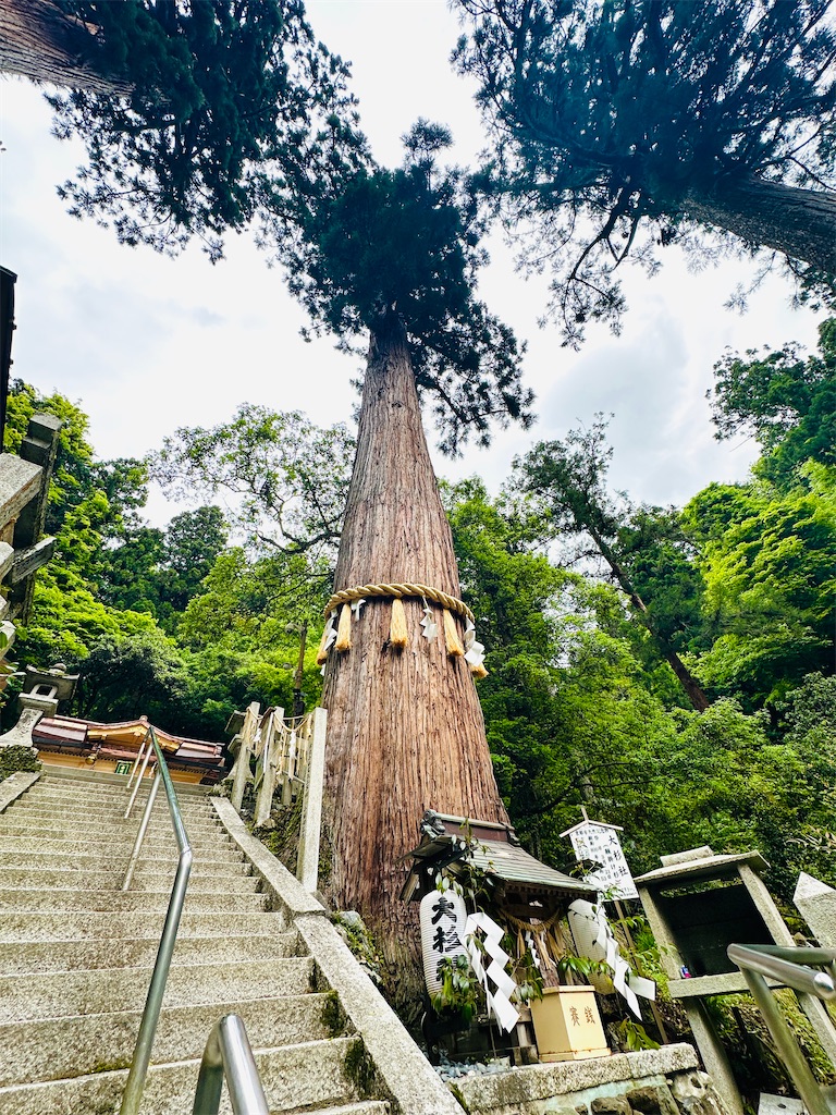 f:id:Yukonosuke:20240517164751j:image
