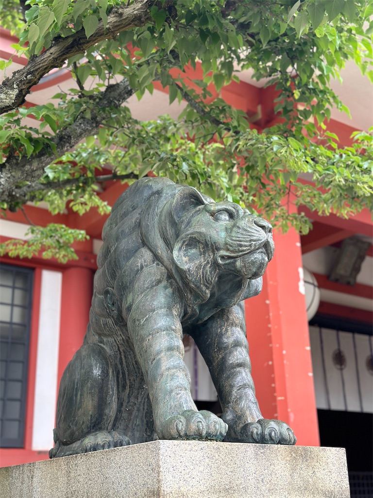 f:id:Yukonosuke:20240517165358j:image