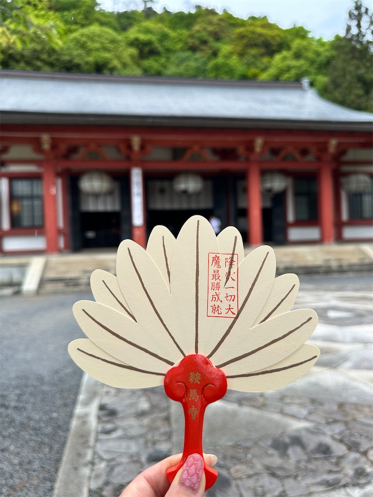 f:id:Yukonosuke:20240517165405j:image