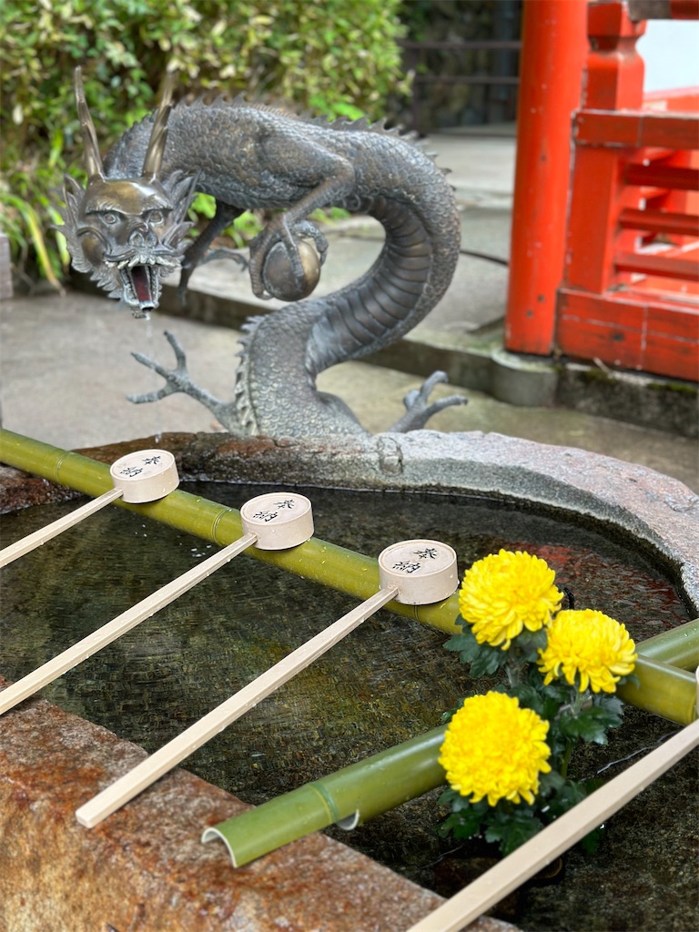 f:id:Yukonosuke:20240517165407j:image