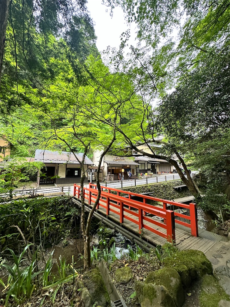 f:id:Yukonosuke:20240517183450j:image