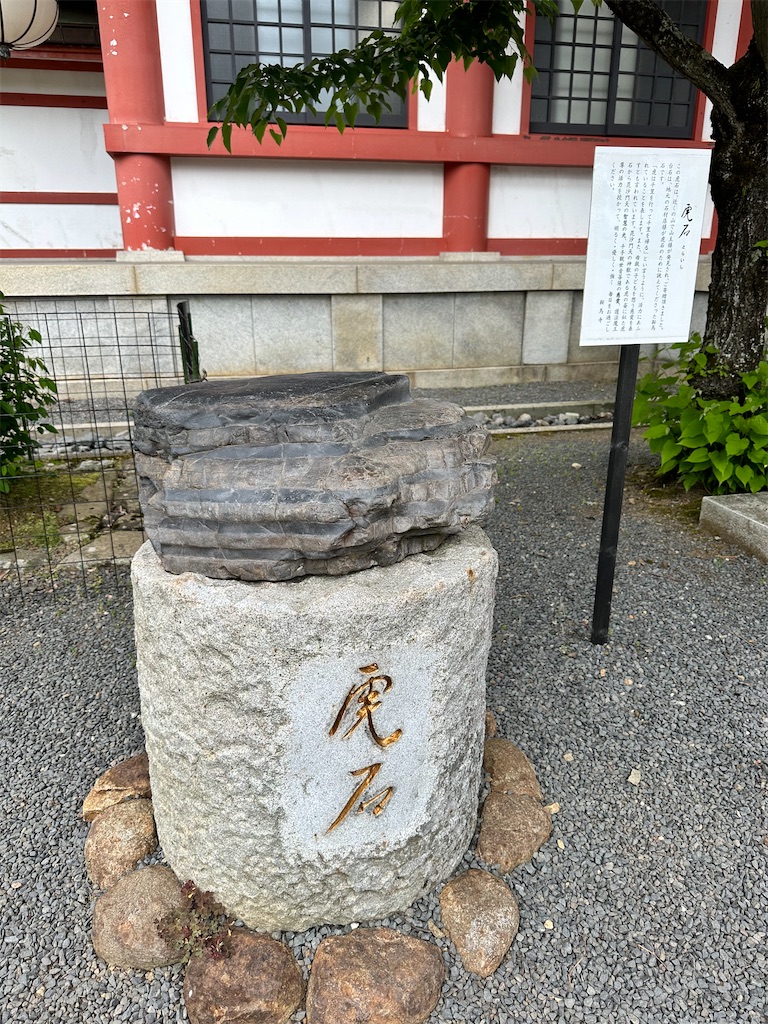 f:id:Yukonosuke:20240523005019j:image