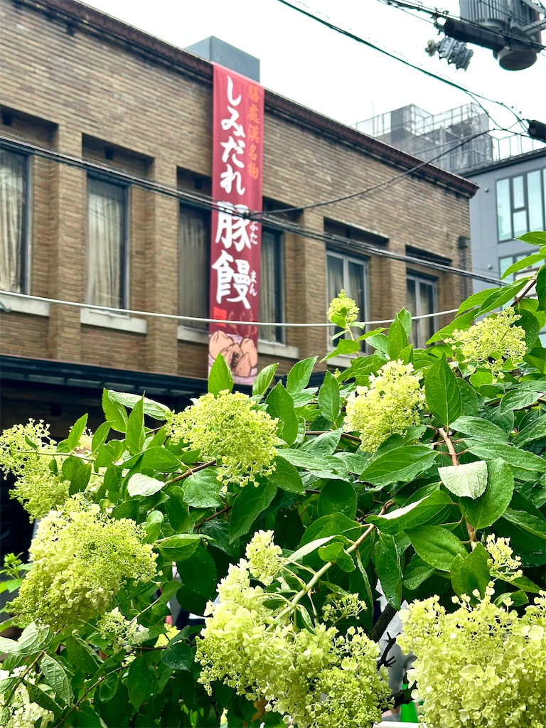 f:id:Yukonosuke:20240714230308j:image