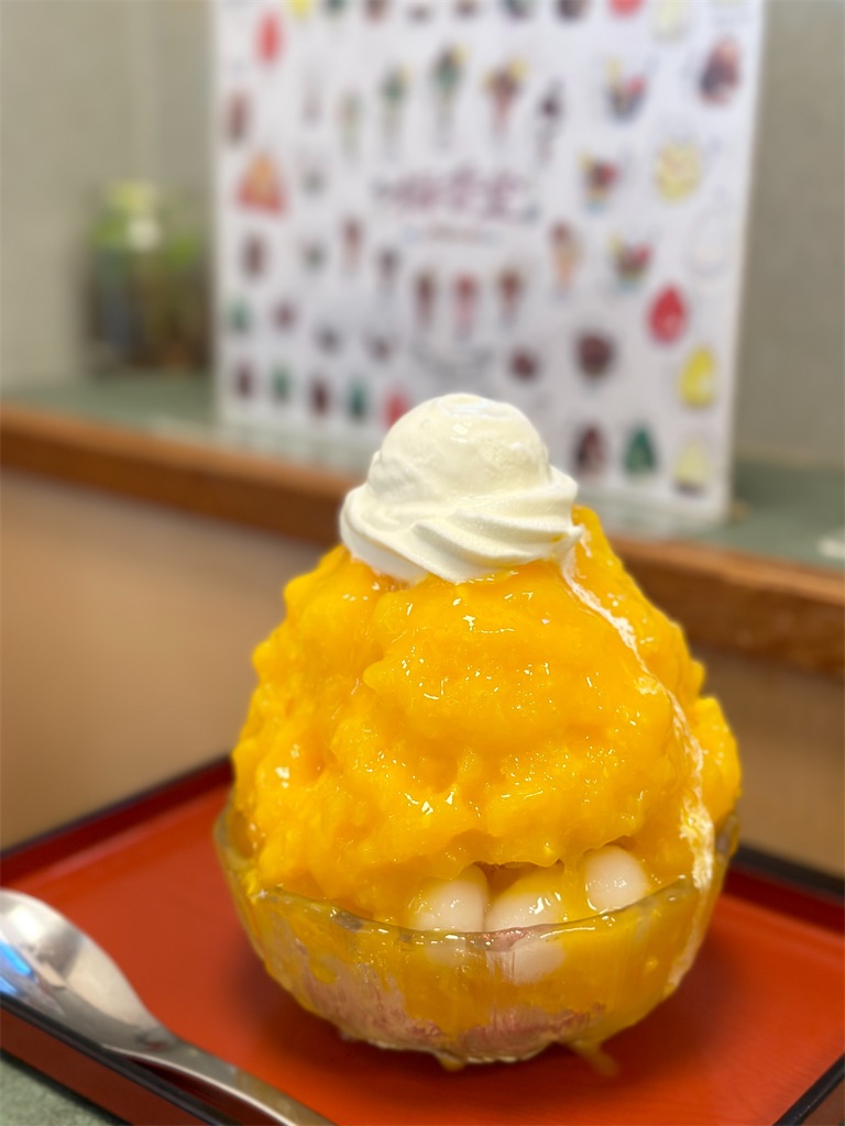 f:id:Yukonosuke:20240831141133j:image