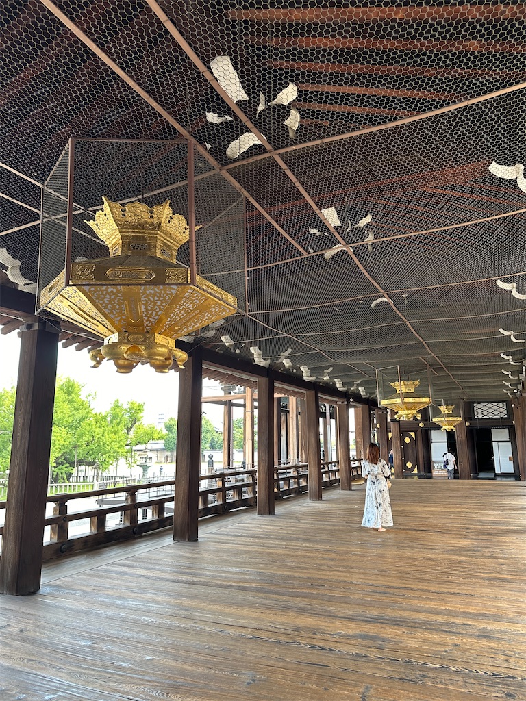 f:id:Yukonosuke:20240929155709j:image