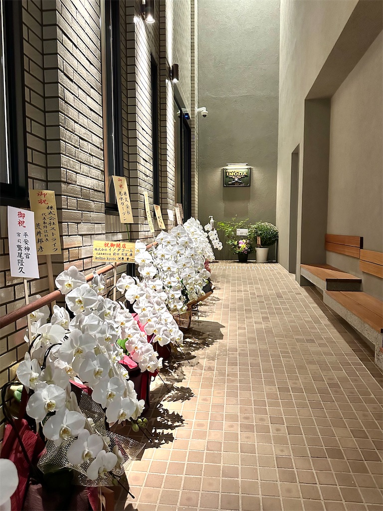 f:id:Yukonosuke:20241113161949j:image
