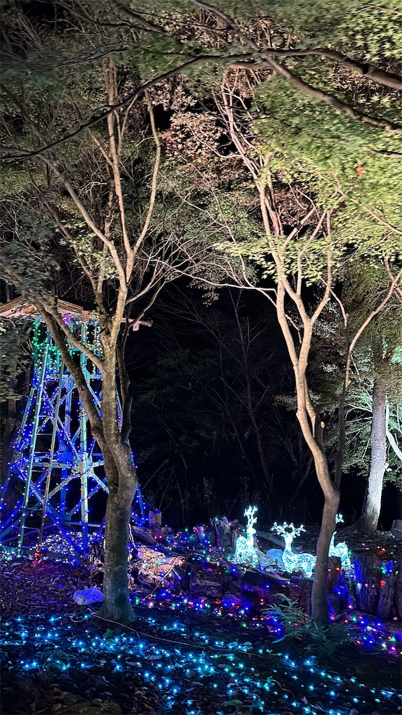 f:id:Yukonosuke:20241203172805j:image