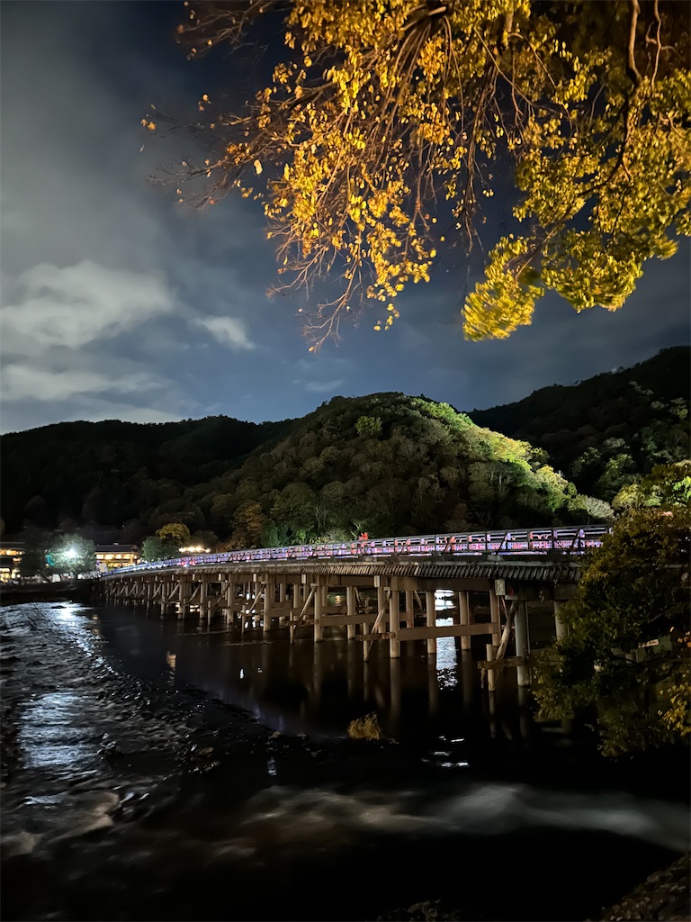 f:id:Yukonosuke:20241203174418j:image