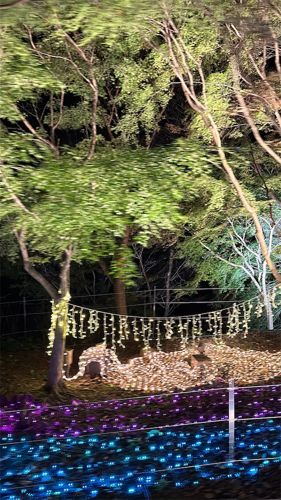 f:id:Yukonosuke:20241203184824j:image