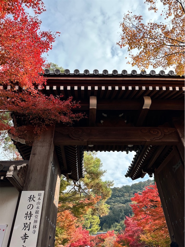 f:id:Yukonosuke:20241204162545j:image