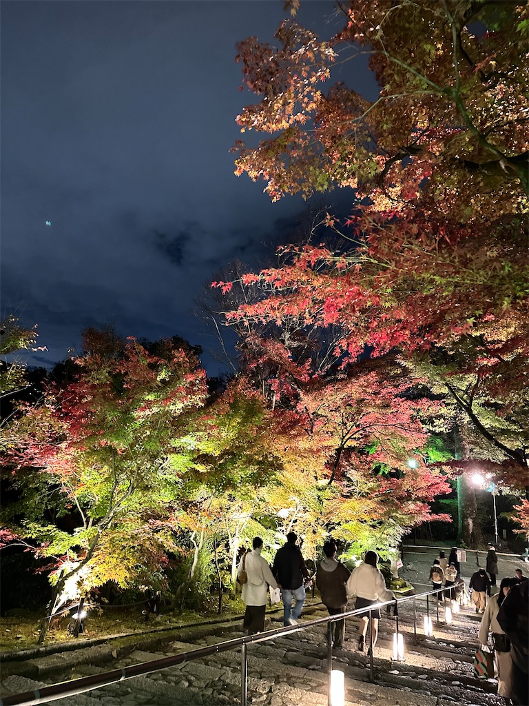 f:id:Yukonosuke:20241204163400j:image