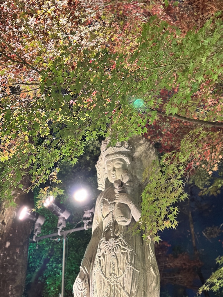 f:id:Yukonosuke:20241204163404j:image