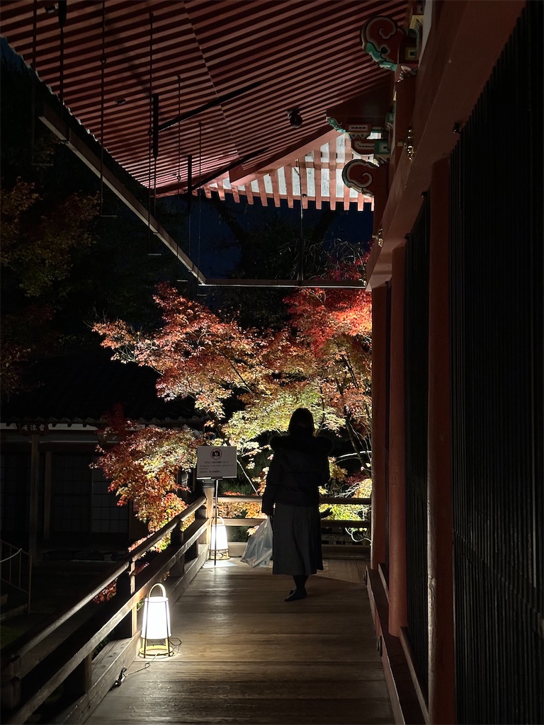f:id:Yukonosuke:20241204163407j:image